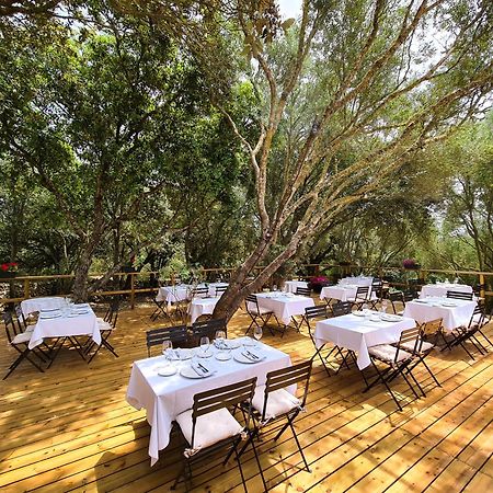 Agroturismo Santa Mariana อาไลยอร์ ภายนอก รูปภาพ