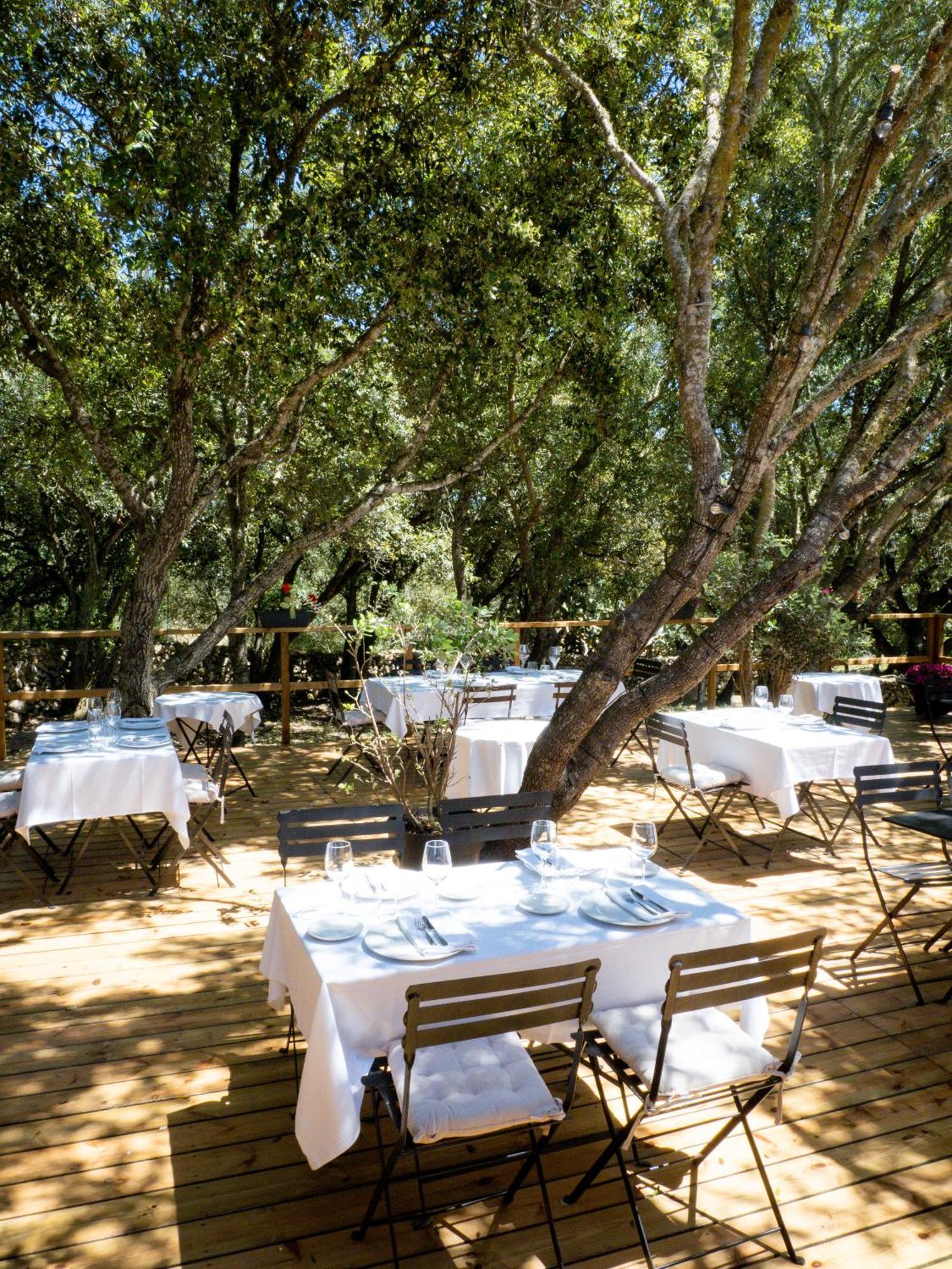 Agroturismo Santa Mariana อาไลยอร์ ภายนอก รูปภาพ