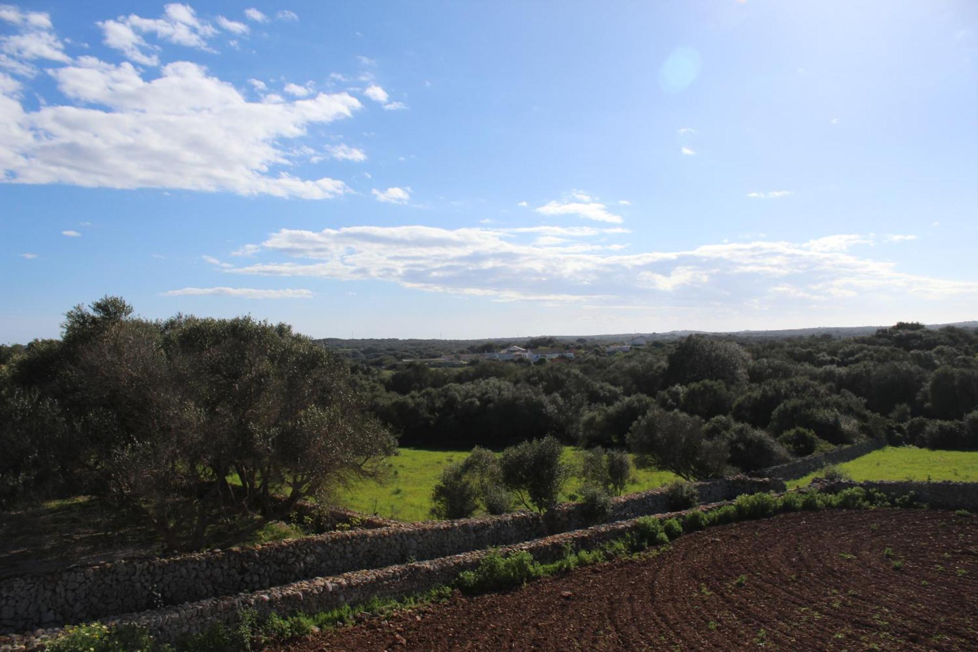 Agroturismo Santa Mariana อาไลยอร์ ภายนอก รูปภาพ