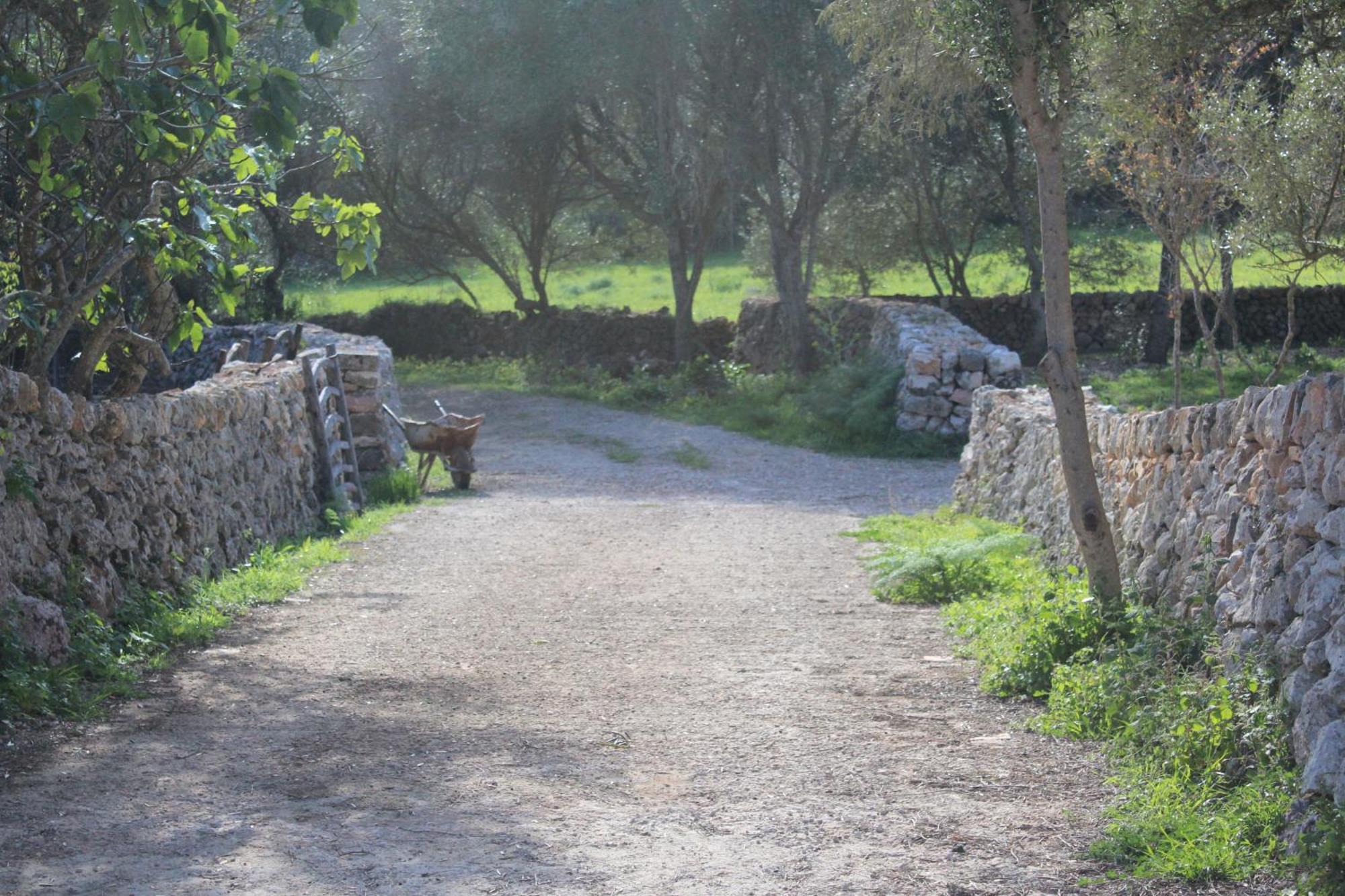 Agroturismo Santa Mariana อาไลยอร์ ภายนอก รูปภาพ